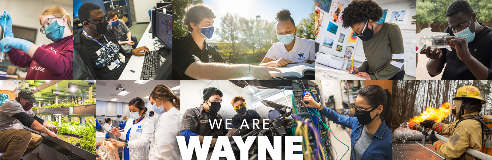 We Are Wayne banner image.