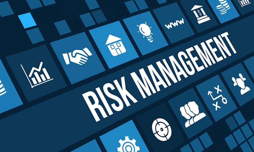 phd in risk management and insurance